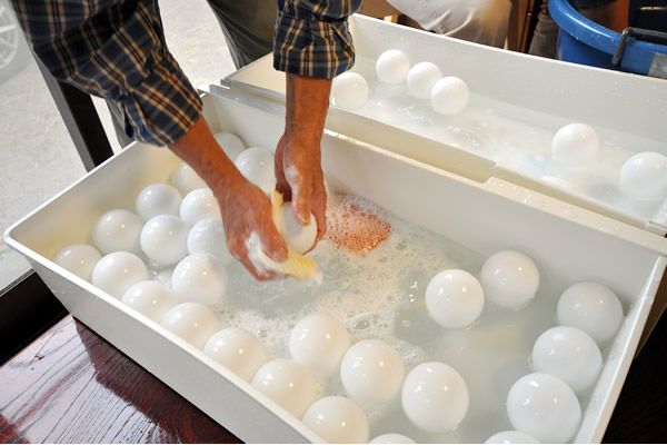 ゆめの里エイト